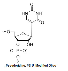 Bio-Synthesis Inc. Oligo Structure